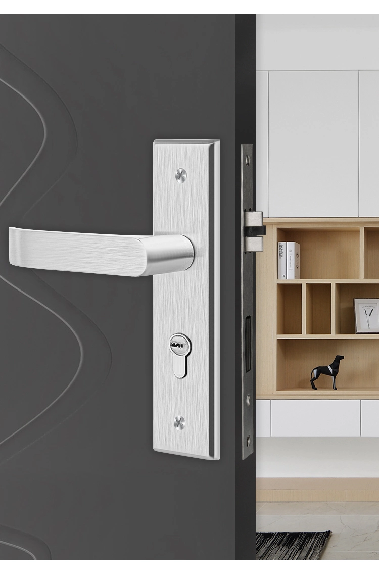 SS304/201 Material Handle Door Handles with Long Plate for Doors (SN-13)